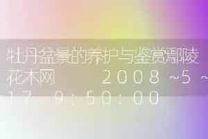 牡丹盆景的养护与鉴赏鄢陵花木网   2008～5～17 9:50:00    浏