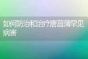 如何防治和治疗唐菖蒲罕见病害