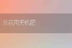 兰花用无机肥