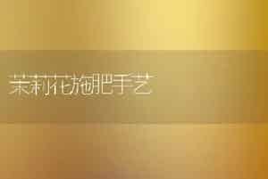 茉莉花施肥手艺