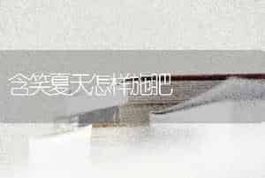 含笑夏天怎样施肥