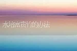 水培富贵竹的办法