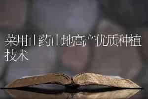 兰花的五种病害防治和治疗