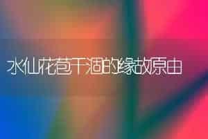 水仙花苞干涸的缘故原由