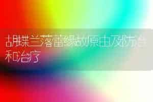 胡蝶兰落蕾缘故原由及防治和治疗