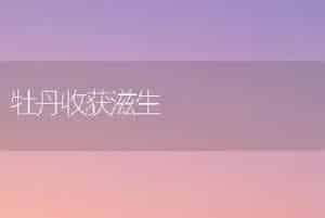 牡丹收获滋生