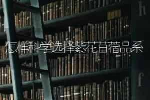 怎样科学选择紫花苜蓿品系