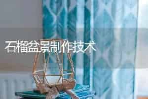石榴盆景制作技术