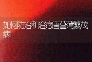 如何防治和治疗唐菖蒲繁茂病