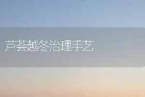 芦荟越冬治理手艺