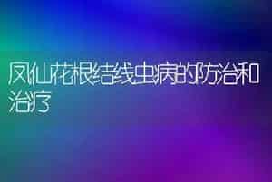 凤仙花根结线虫病的防治和治疗