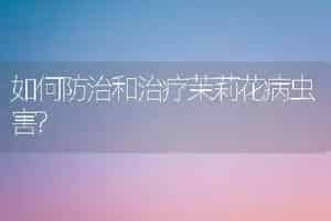 如何防治和治疗茉莉花病虫害?