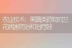 农业技术:果蔬类药物对兰花病害防治和治疗好