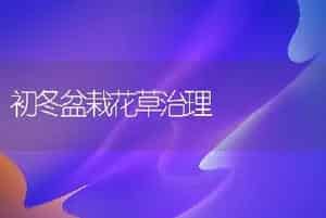 初冬盆栽花草治理
