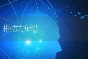 柑桔的介绍