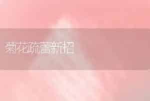 盆栽山茶的修剪