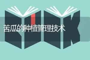 兰花炭疽病的辨认与防治和治疗技能
