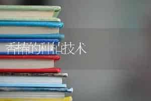 香椿的种植技术