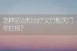怎样防治和治疗文竹和天门冬烂根？