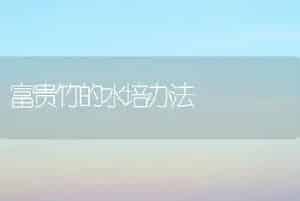 富贵竹的水培办法