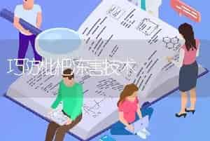 巧防枇杷冻害技术
