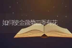 如何使金盏菊四季有花