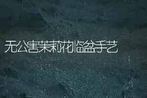 无公害茉莉花临盆手艺