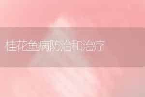 桂花鱼病防治和治疗