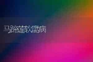 马蹄莲软腐病