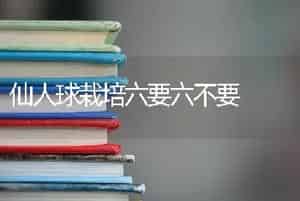 农业技术:冬天君子兰种植管理