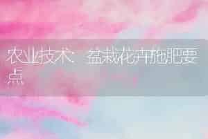 农业技术:盆栽花卉施肥要点