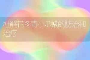 杜鹃花冬青小爪螨的防治和治疗