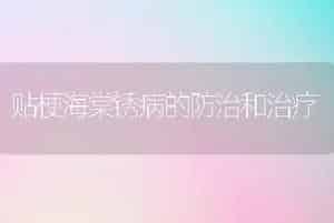 贴梗海棠锈病的防治和治疗