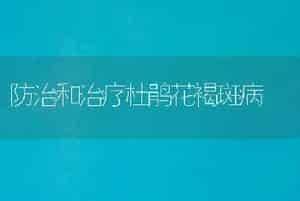 防治和治疗杜鹃花褐斑病