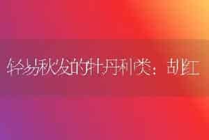轻易秋发的牡丹种类：胡红