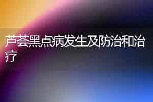 芦荟黑点病发生及防治和治疗