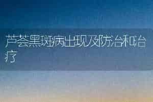 芦荟黑斑病出现及防治和治疗