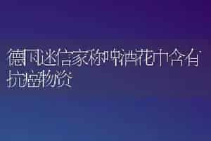 德国迷信家称啤酒花中含有抗癌物资