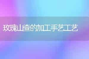 玫瑰山查的加工手艺工艺