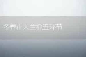 冬养正人兰抓五环节