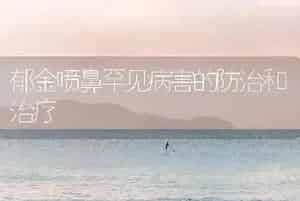郁金喷鼻罕见病害的防治和治疗