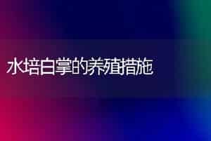 水培白掌的养殖措施