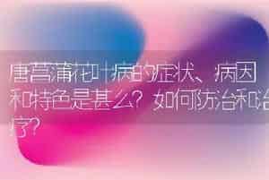 唐菖蒲花叶病的症状、病因和特色是甚么？如何防治和治疗？