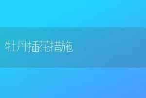 牡丹插花措施