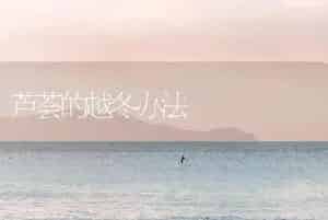 芦荟的越冬办法