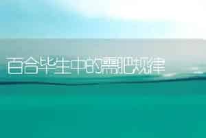 百合毕生中的需肥规律