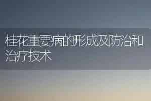 桂花重要病的形成及防治和治疗技术