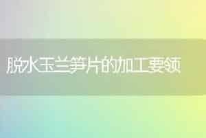 脱水玉兰笋片的加工要领
