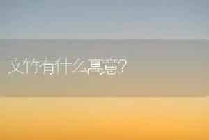 文竹有什么寓意？