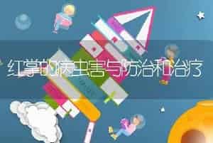 红掌的病虫害与防治和治疗